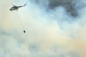 Aydın ve Antalya'da orman yangını! Alevlere havadan ve karadan müdahale