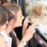 Köpek satışına bakanlık uyarısı