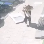 Ölümden saniyelerle kurtuluş: Kaldırımda yürürken üzerine yangın kapısı düştü