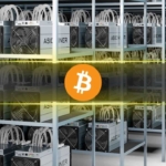 Meyve Sineğinin Beyni Bitcoin Madenciliği Yapabilir mi? Bu Şirketler Test Ediyor