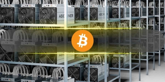 Meyve Sineğinin Beyni Bitcoin Madenciliği Yapabilir mi? Bu Şirketler Test Ediyor