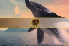 4 Dolardan Alınan Bitcoin’ler 15 Yıl Sonra Harekete Geçti