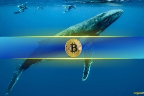 Bitcoin Balinası 4 Yıl Sonra Uyandı: Satış mı Geliyor?