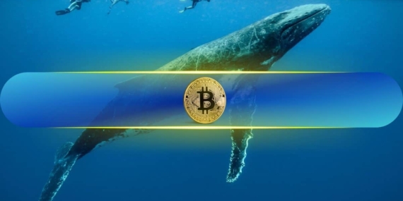 Bitcoin Balinası 4 Yıl Sonra Uyandı: Satış mı Geliyor?