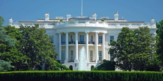 CNN, MS NOW ve Politico’dan Trump’a Beyaz Saray davası