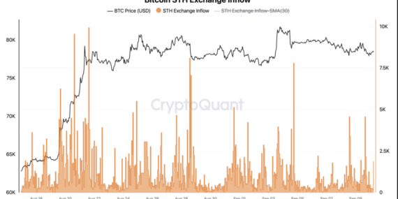 Yükselişin ardından 550 bin Bitcoin satıldı: Piyasa absorbe etti