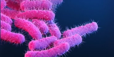 150 research primates got diarrhea, flooding lab with priceless vaccine data
