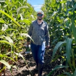 How engineered microbes could help feed the world’s crops