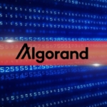 Algorand’ın Yeni CEO’su Eski Chainlink Yöneticisi Oldu