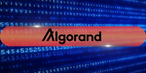 Algorand’ın Yeni CEO’su Eski Chainlink Yöneticisi Oldu
