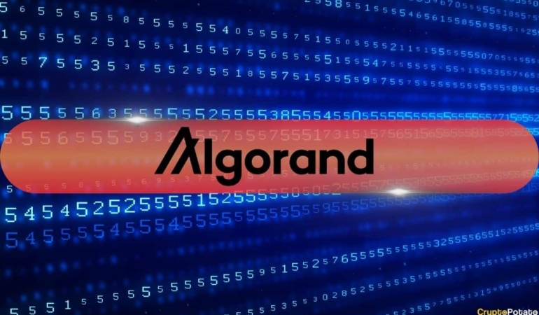 Algorand’ın Yeni CEO’su Eski Chainlink Yöneticisi Oldu
