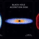 Research roundup: 7 cool science stories we almost missed