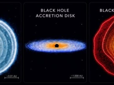 Research roundup: 7 cool science stories we almost missed