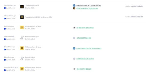 Yatırımcının 200 Bin Dolarlık Altcoin Alımı Eridi: Elinde 3 Bin Dolar Kaldı