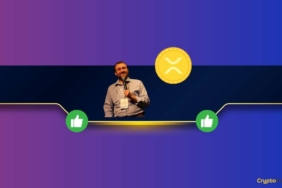 Cardano Kurucusu Charles Hoskinson Yeni Bir Programlama Dili Geliştiriyor