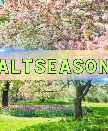 Altcoin Sezonu Yaklaşıyor mu? 4 Yıl Sonra Kritik Sinyal