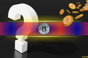 Jordi Visser: Bitcoin’in Değeri 50 Trilyon Dolara Yükselebilir mi?