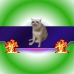 CashCat Yüzde 15 Yükseldi: Şimdi Sırada Ne Var?