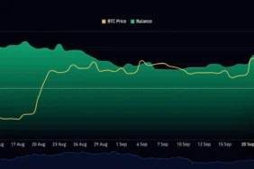 Borsalardan İki Haftada 50 Bin Bitcoin Çıktı: Satışa Hazır Arz Daralıyor mu?