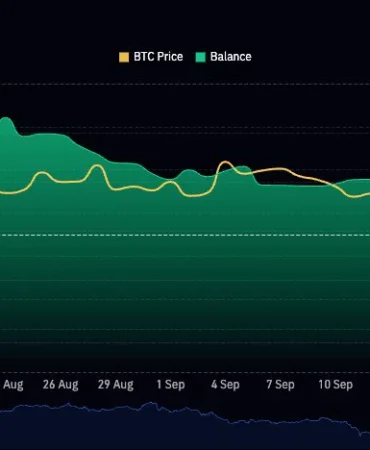 Borsalardan İki Haftada 50 Bin Bitcoin Çıktı: Satışa Hazır Arz Daralıyor mu?
