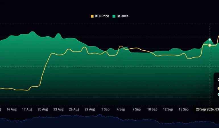 Borsalardan İki Haftada 50 Bin Bitcoin Çıktı: Satışa Hazır Arz Daralıyor mu?