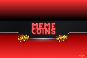 CASHCAT Neden Düşüyor?