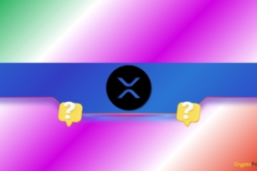 XRP’de Dip Görüldü mü? Analistler 2-9 Dolar Hedeflerini Konuşuyor