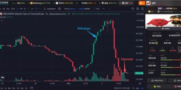 Yüzde 244 Yükselen Altcoin Çakıldı: Balinanın Tokenları Bir Günde Üçte Birine İndi!