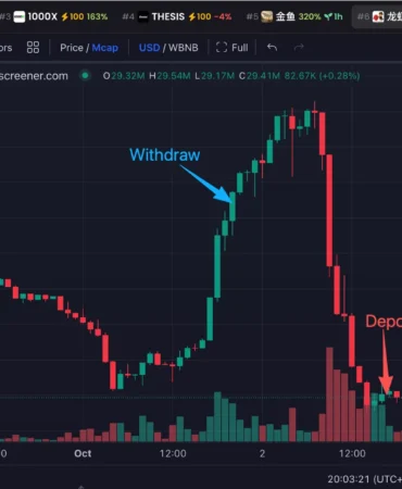 Yüzde 244 Yükselen Altcoin Çakıldı: Balinanın Tokenları Bir Günde Üçte Birine İndi!