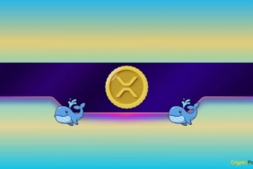 XRP Balinaları Binance’e Akın Ediyor: Transferler 7 Ayın Zirvesinde
