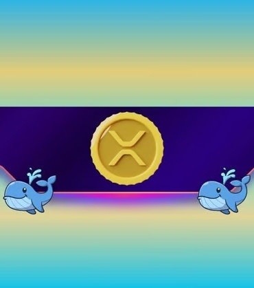 XRP Balinaları Binance’e Akın Ediyor: Transferler 7 Ayın Zirvesinde
